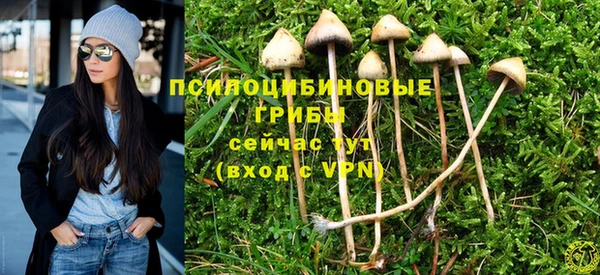 каннабис Алексин