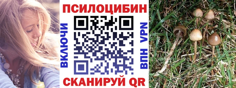 Галлюциногенные грибы мицелий  Новочеркасск 